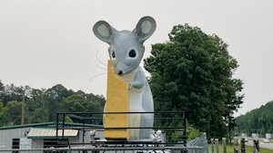 Roadside Image